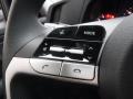 Black Steering Wheel Photo for 2023 Hyundai Elantra #146599561
