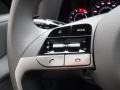 Medium Gray Steering Wheel Photo for 2023 Hyundai Elantra #146600075