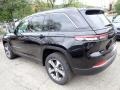 Diamond Black Crystal Pearl - Grand Cherokee 4XE Photo No. 3