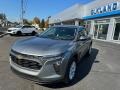 Sterling Gray Metallic - Trax LS Photo No. 2