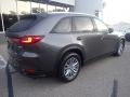 Platinum Quartz Metallic - CX-90 Preferred Plus AWD Photo No. 2