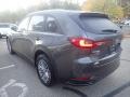 Platinum Quartz Metallic - CX-90 Preferred Plus AWD Photo No. 5