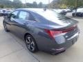 Ecotronic Gray - Elantra Limited Hybrid Photo No. 5