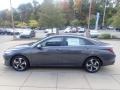 Ecotronic Gray - Elantra Limited Hybrid Photo No. 6