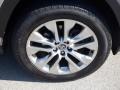 2020 Toyota RAV4 XLE Premium AWD Wheel and Tire Photo