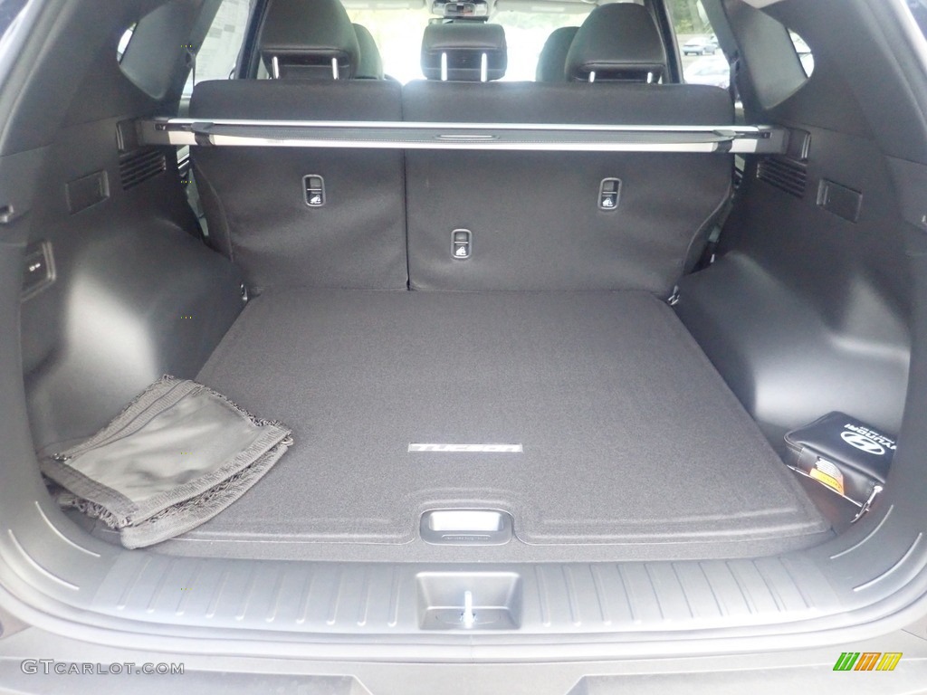 2024 Hyundai Tucson SEL Convenience Hybrid AWD Trunk Photo #146613027