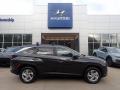 2024 Portofino Gray Hyundai Tucson SEL AWD #146605453