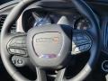 Sublime Metallic - Charger SXT AWD Blacktop Photo No. 12
