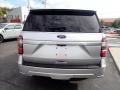 Ingot Silver Metallic 2019 Ford Expedition Platinum 4x4 Exterior