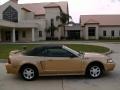 2000 Sunburst Gold Metallic Ford Mustang V6 Convertible  photo #2