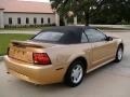 2000 Sunburst Gold Metallic Ford Mustang V6 Convertible  photo #6
