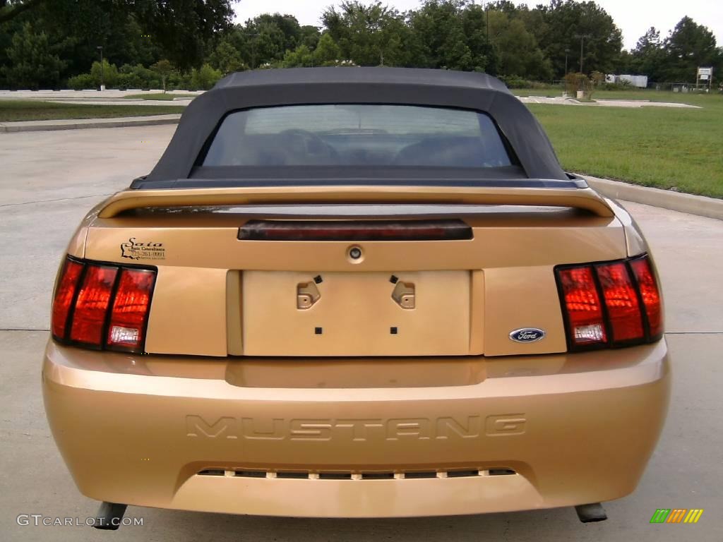 2000 Mustang V6 Convertible - Sunburst Gold Metallic / Dark Charcoal photo #7