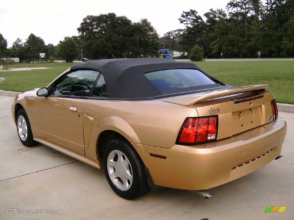 2000 Mustang V6 Convertible - Sunburst Gold Metallic / Dark Charcoal photo #8