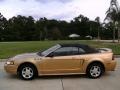 2000 Sunburst Gold Metallic Ford Mustang V6 Convertible  photo #9