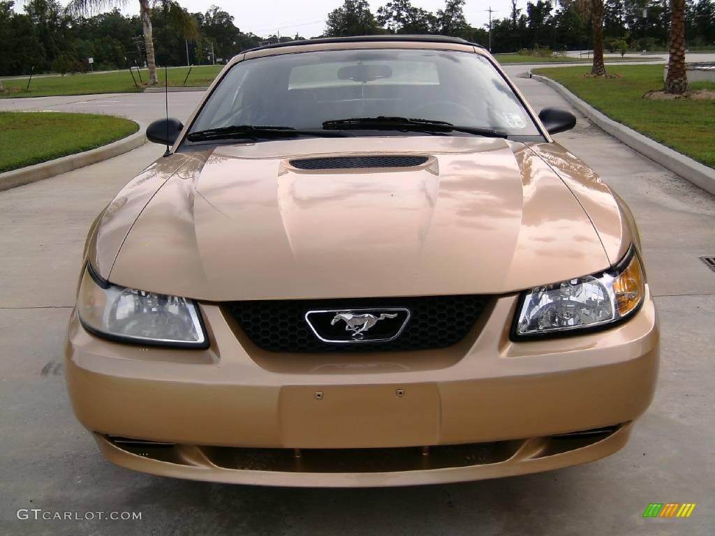 2000 Mustang V6 Convertible - Sunburst Gold Metallic / Dark Charcoal photo #11