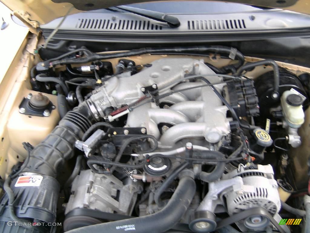 2000 Mustang V6 Convertible - Sunburst Gold Metallic / Dark Charcoal photo #13