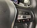 2020 BMW X3 Mocha Interior Steering Wheel Photo