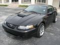 Black - Mustang GT Coupe Photo No. 1