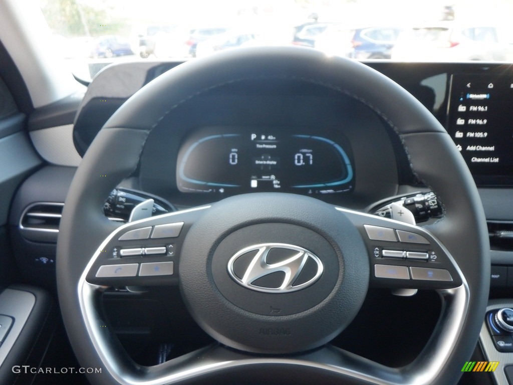 2024 Hyundai Palisade SEL AWD Black Steering Wheel Photo #146625718