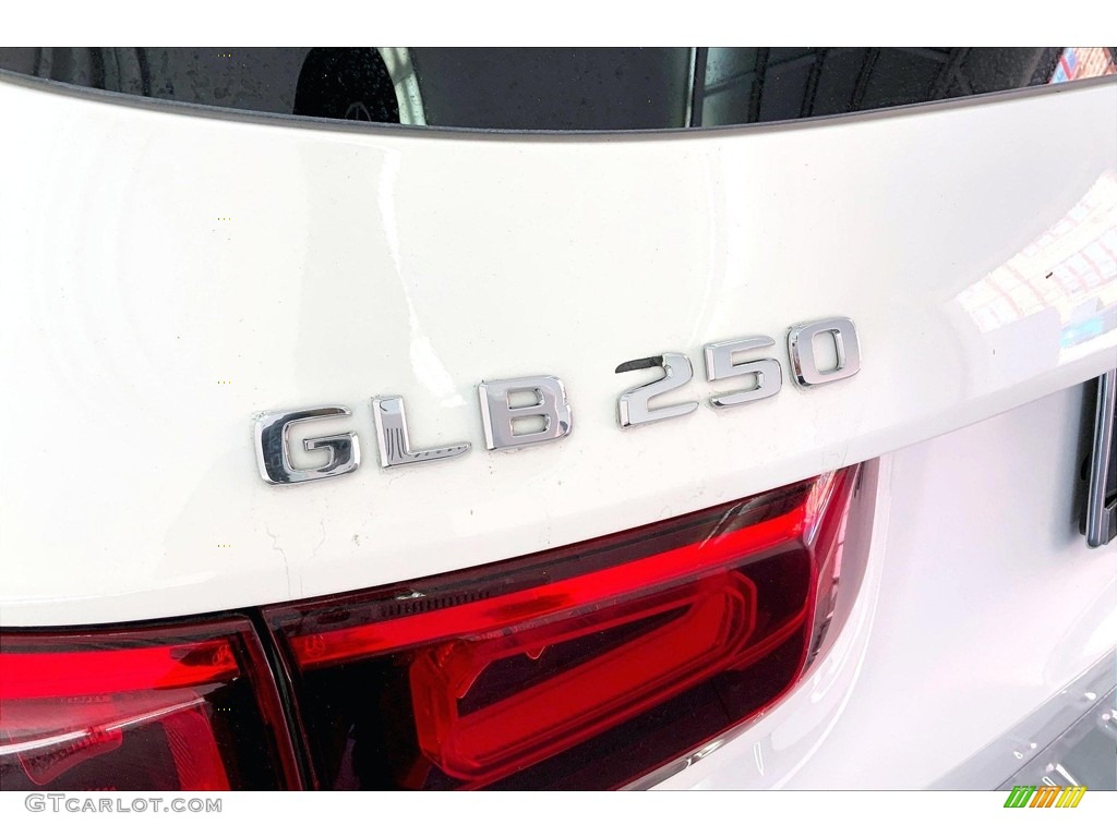2020 GLB 250 - Polar White / Black photo #30