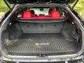 2020 Lexus RX Circuit Red Interior Trunk Photo