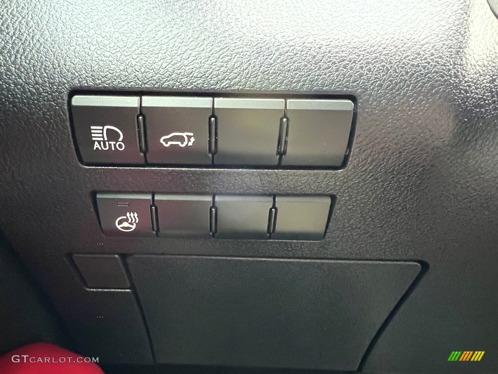 2020 Lexus RX 350 F Sport AWD Controls Photo #146628049