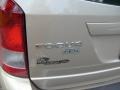 Pueblo Gold Metallic - Focus ZXW SES Wagon Photo No. 10