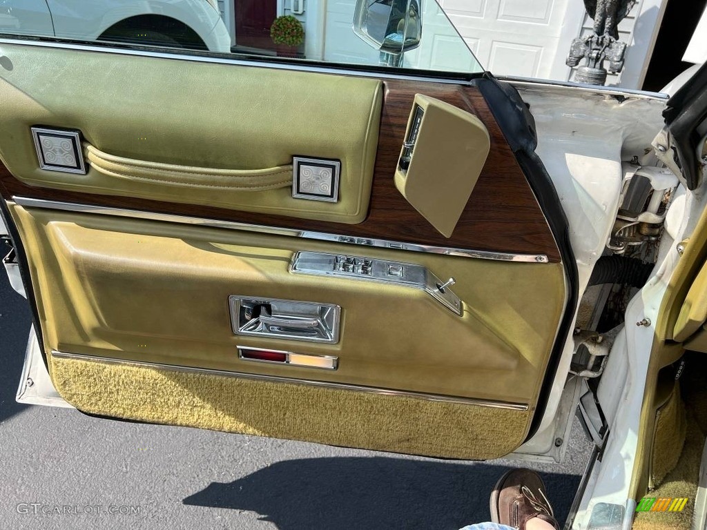 1973 Cadillac DeVille Coupe Meduim Maze Door Panel Photo #146631865