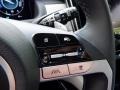 2024 Amazon Gray Hyundai Tucson Limited Plug-In Hybrid AWD  photo #28