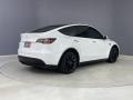 Pearl White Multi-Coat 2021 Tesla Model Y Long Range AWD Exterior