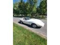 Custom Pearl White 1976 Chevrolet Corvette Stingray Coupe Exterior