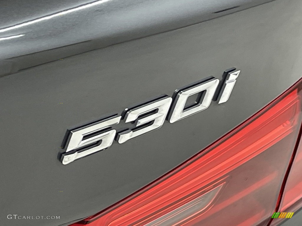 2020 BMW 5 Series 530i Sedan Marks and Logos Photo #146637394