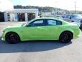 Sublime Metallic - Charger Scat Pack Widebody Photo No. 2