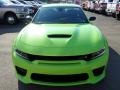 Sublime Metallic - Charger Scat Pack Widebody Photo No. 9
