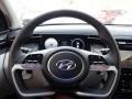 Gray Steering Wheel Photo for 2024 Hyundai Tucson #146638261