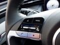 Gray Steering Wheel Photo for 2024 Hyundai Tucson #146638279