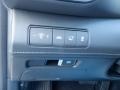 2023 Hyundai Santa Fe Hybrid Black Interior Controls Photo