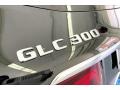 2020 Black Mercedes-Benz GLC 300  photo #30