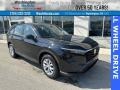 Crystal Black Pearl 2024 Honda CR-V LX AWD