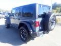 Anvil - Wrangler 4-Door Rubicon X 4xe Hybrid Photo No. 3