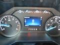 Medium Dark Slate Gauges Photo for 2021 Ford F150 #146644039