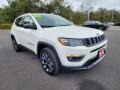 2021 White Jeep Compass 80th Special Edition 4x4  photo #16