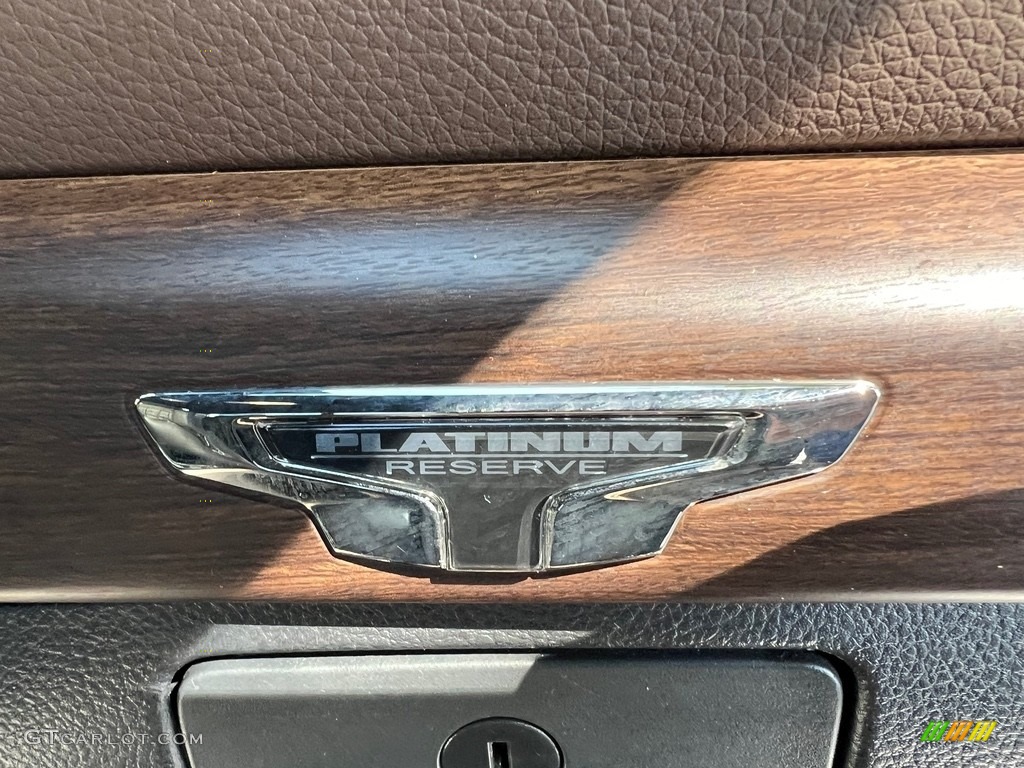 2020 Nissan Titan Platinum Reserve Crew Cab 4x4 Marks and Logos Photo #146645903