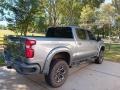 2020 Satin Steel Metallic Chevrolet Silverado 1500 RST Crew Cab 4x4  photo #4