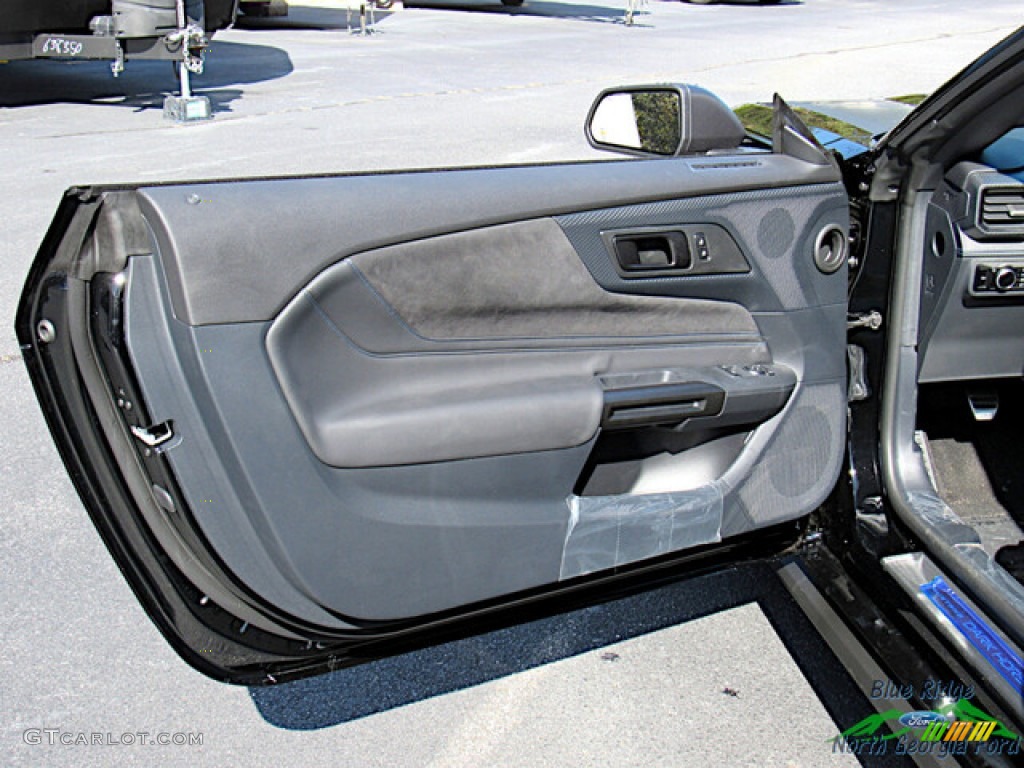 2024 Ford Mustang Dark Horse Fastback Door Panel Photos