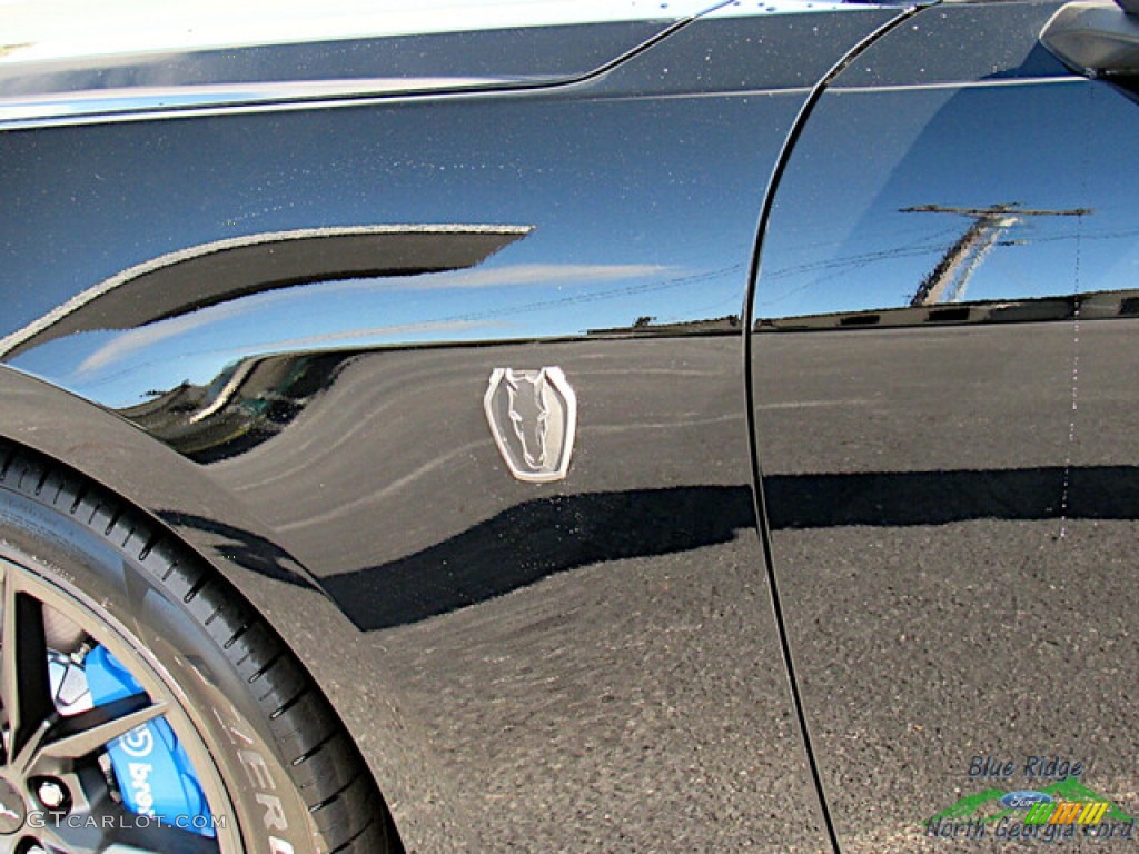 2024 Mustang Dark Horse Fastback - Shadow Black / Black w/Blue Accents photo #34