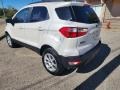 White Platinum Metallic - EcoSport SE 4WD Photo No. 6