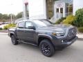 2023 Magnetic Gray Metallic Toyota Tacoma Limited Double Cab 4x4  photo #1