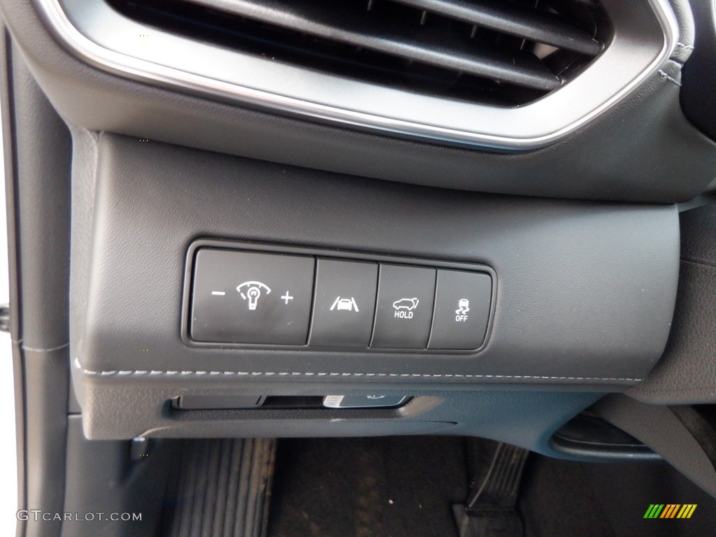 2023 Hyundai Santa Fe Calligraphy AWD Controls Photo #146654167