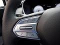 Black Steering Wheel Photo for 2023 Hyundai Santa Fe #146654529